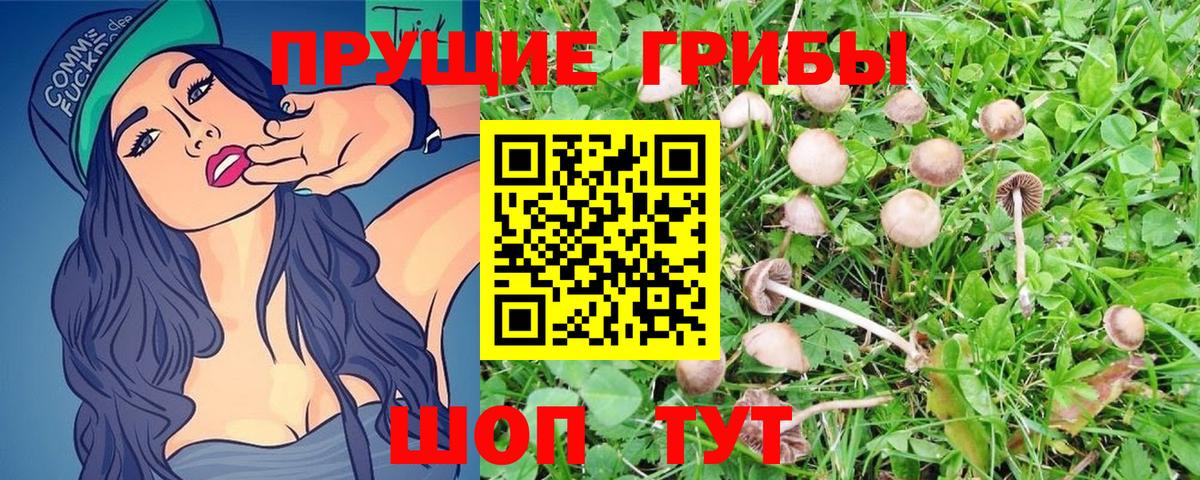 Псилоцибиновые грибы GOLDEN TEACHER  Галлюциногенные грибы мицелий  Белебей  Вход с VPN 